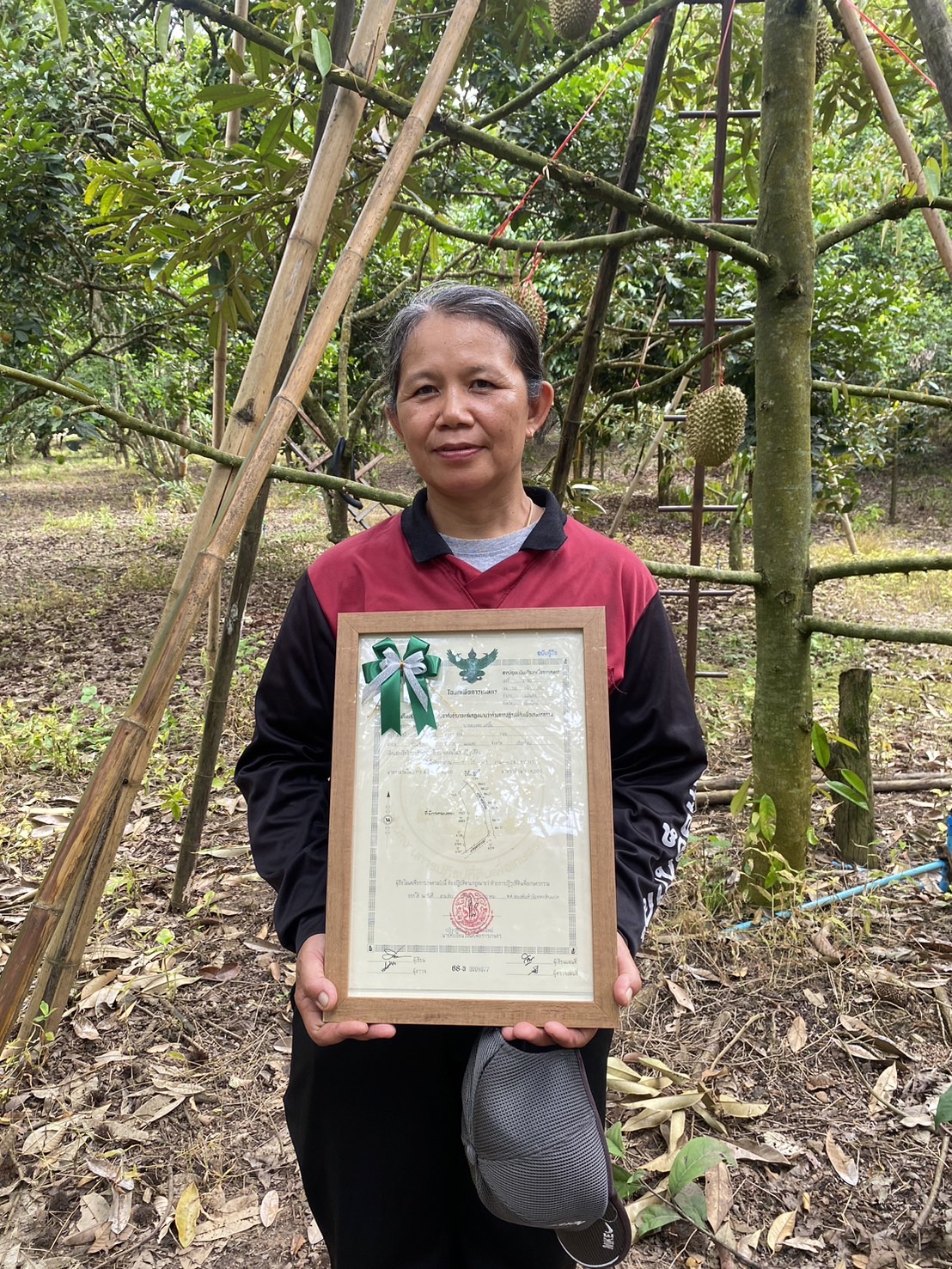 title - ผู้ตรวจราชการ ส.ป.ก. (เขต 15,16 และ 17) ประชุมตรวจติดตามความก้าวหน้าการดำเนินงานตามแผนงานตรวจราชการและลงพื้นที่โครงการที่เกี่ยวข้องในเขตปฏิรูปที่ดิน ประจําปีงบประมาณ 2568 รอบที่ 2 ณ ส.ป.ก.จังหวัดเชียงใหม่